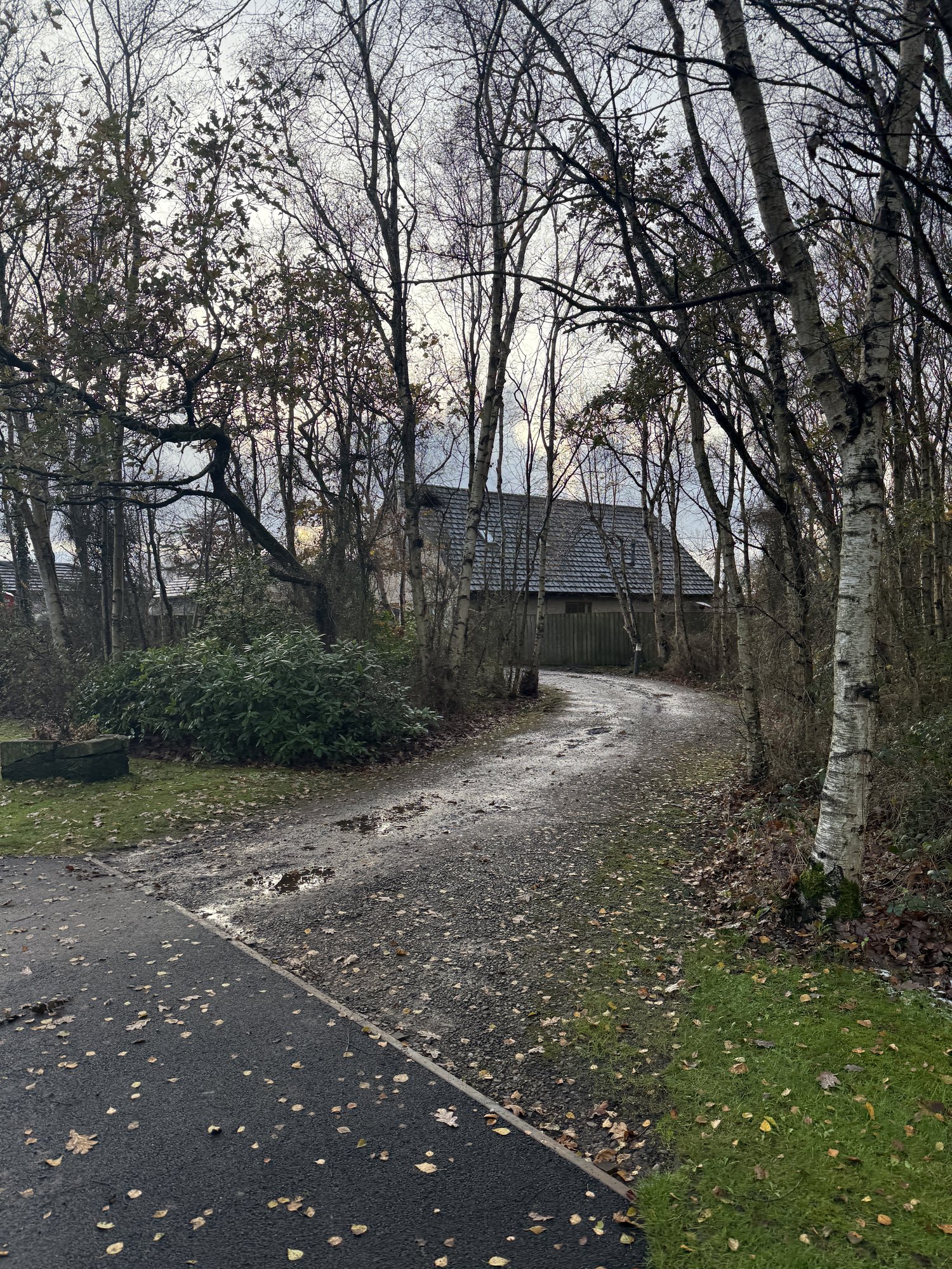 Driveway — Before