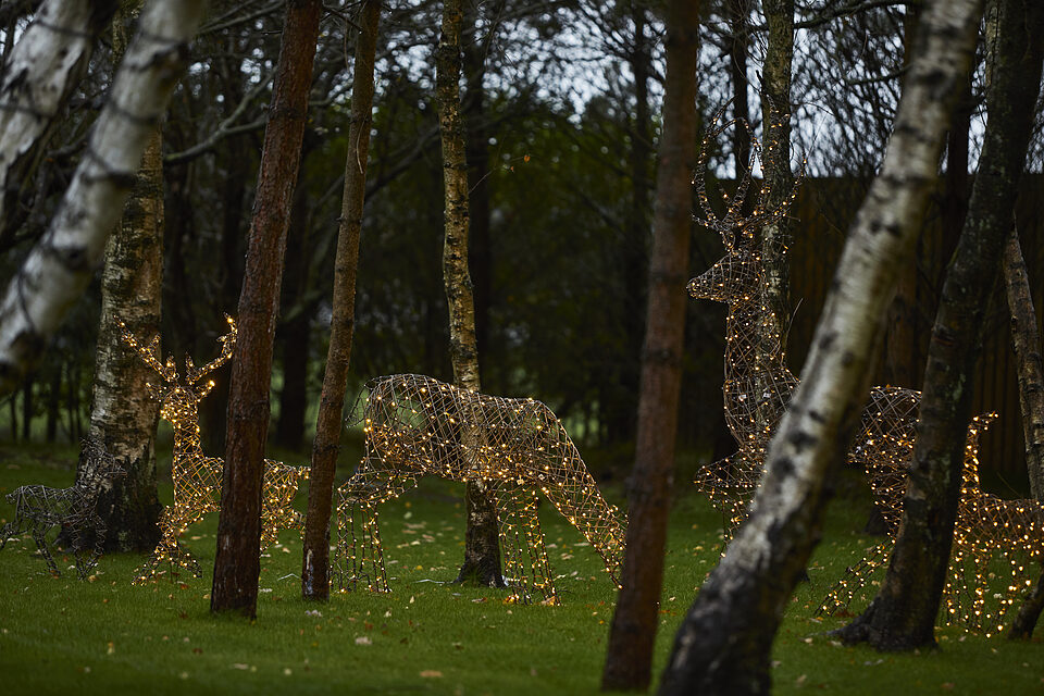 Pair of illuminated reindeer in the garden at dusk