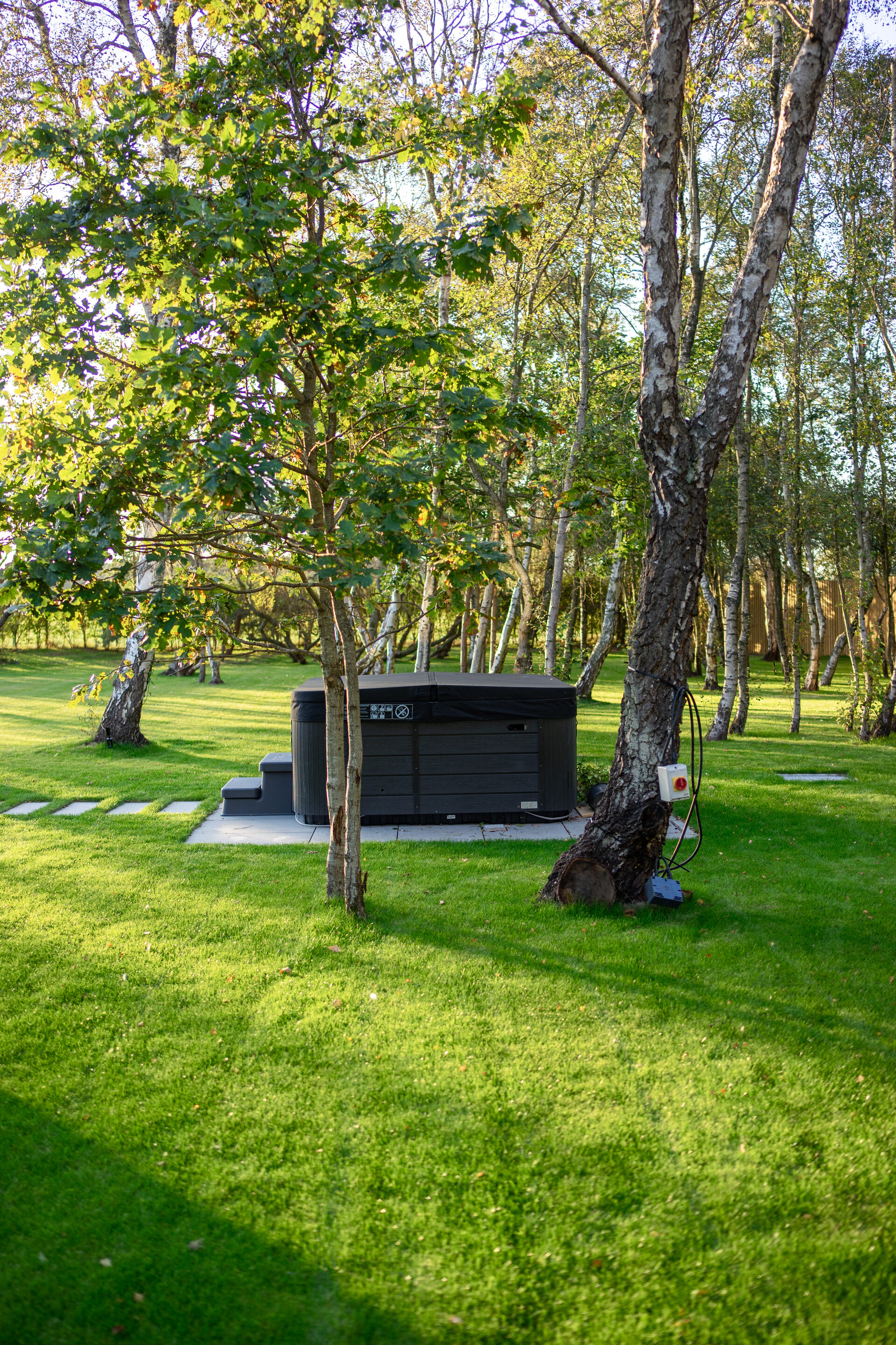 Hot tub among silver birch trees