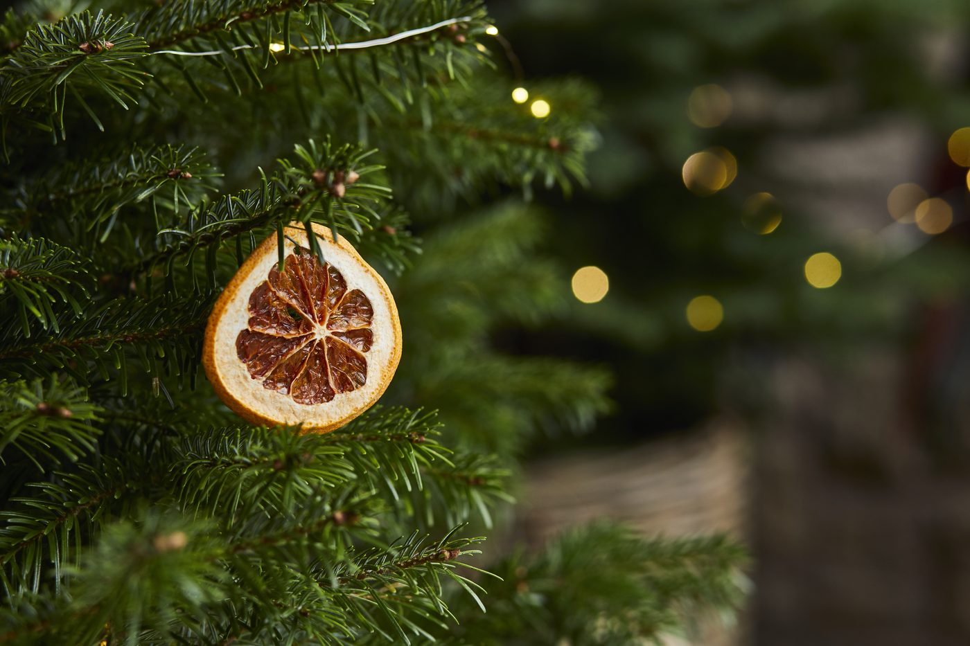 Christmas Gatherings at Warren House