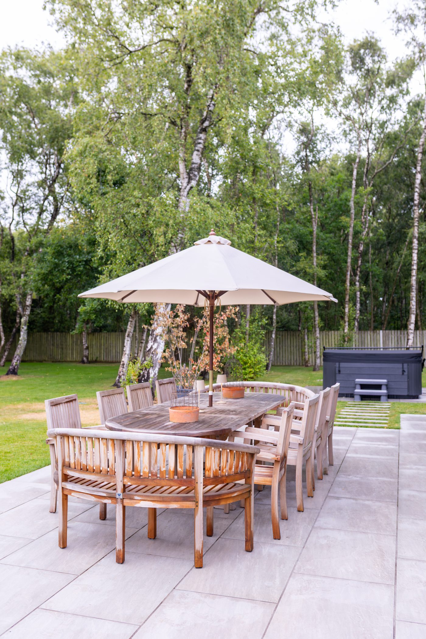 The birch woodland at Warren House