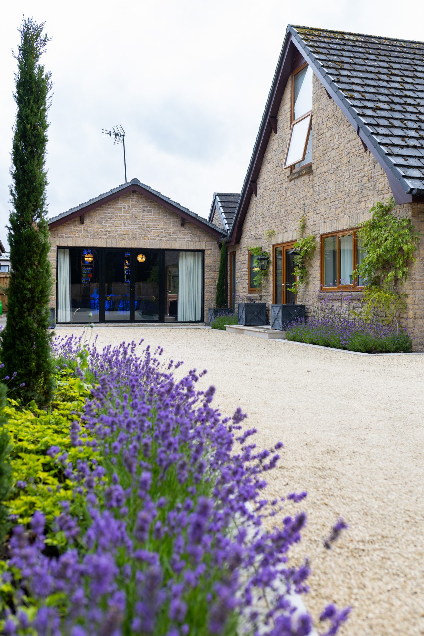 The lavender-lined drive at Warren House