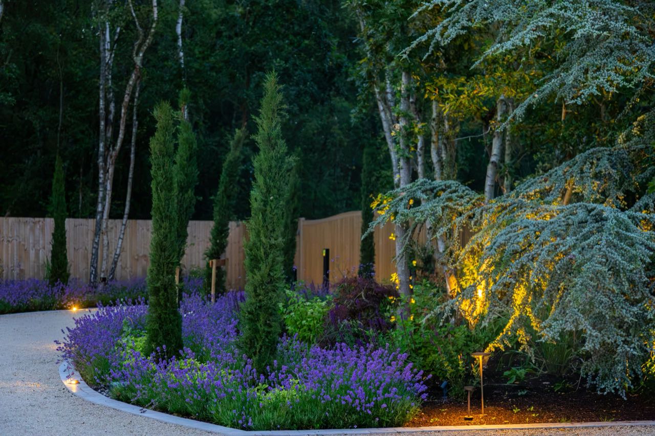 The private lit cypress driveway and grounds at Warren House