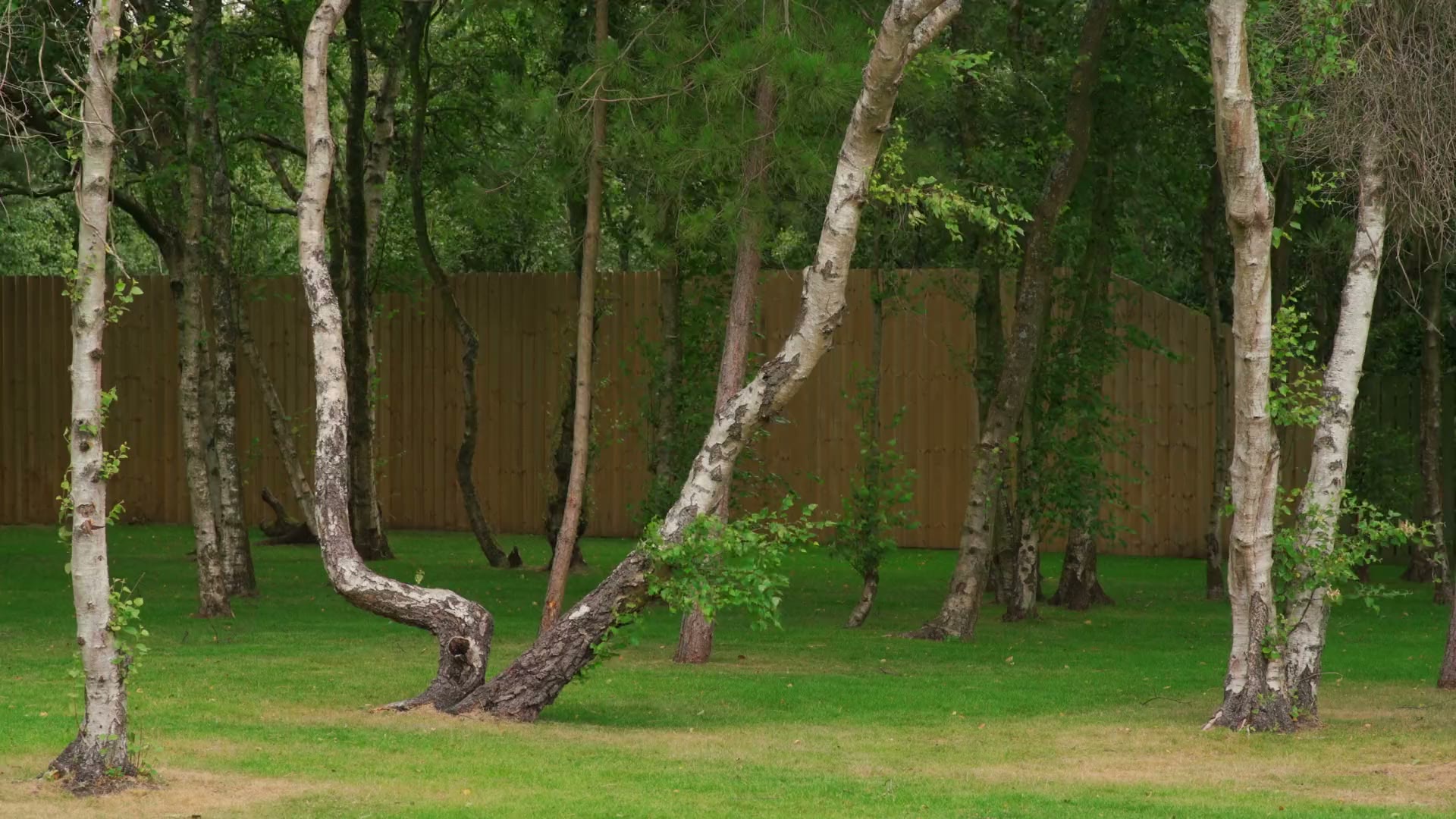 A film of a walking break at Warren House: the birch woods, the drive, the boot room and the house from the garden